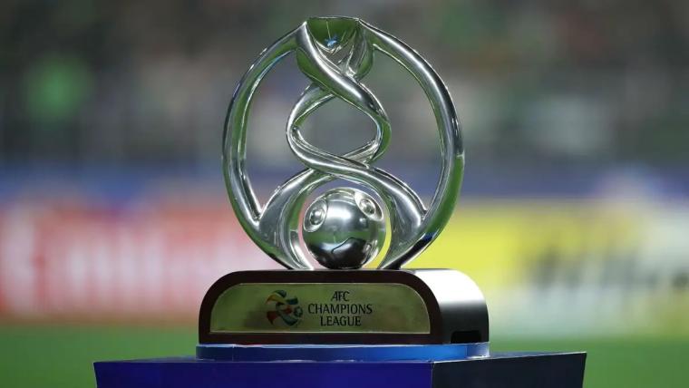 Лига чемпионов АФК 2023/24